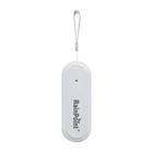 Kép 1/5 - Rainpoint Smart+ intelligens hő- és páratartalom-mérő