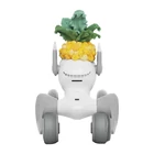 Kép 3/3 - Kötött jelmez a Loona Premium Pineapple-hez