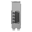 Kép 4/5 - PNY RTX PRO 2000 Blackwell NVIDIA 16 GB GDDR7