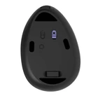 Kép 5/5 - Delux M618DB BT/2.4G 4000DPI RGB vezeték nélküli ergonomikus egér