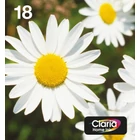 Kép 1/5 - Epson Daisy C13T18064511 tintapatron 1 db Eredeti Standard teljesítmény Fekete, Cián, Magenta, Sárga