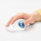 Kép 2/10 - Logitech 910-005870 egér Irodai Jobbkezes RF vezeték nélküli + Bluetooth Hanyattegér 2000 DPI