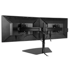 Kép 6/7 - StarTech.com ARMBARDUO asztali TV konzol 61 cm (24") Fekete