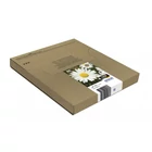 Kép 4/5 - Epson Daisy C13T18064511 tintapatron 1 db Eredeti Standard teljesítmény Fekete, Cián, Magenta, Sárga