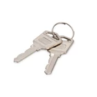 Kép 1/4 - Digitus DN-45000-KEY rack tartozék Zárókulcs