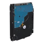 Kép 4/4 - Synology HAT5300 3.5" 12 TB Serial ATA III
