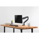 Kép 3/10 - Digitus DA-90394 asztali TV konzol 81,3 cm (32") Fekete