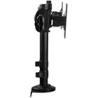Kép 6/9 - StarTech.com ARMBARDUOG asztali TV konzol 68,6 cm (27") Fekete