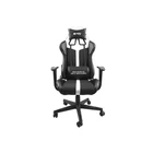 Kép 1/11 - FURY Avenger XL Universal gaming chair Padded seat Black, White
