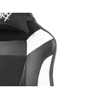 Kép 10/12 - FURY Avenger M+ Universal gaming chair Padded seat Black, White