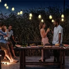 Kép 6/8 - Garden of Eden 11747 SMART SZOLÁR FÉNYFÜZÉR BLUETOOTH