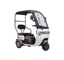 Z-Tech-16C, Ólomsavas 60V20Ah 500W 3kerekű ELEKTROMOS JÁRMŰ *BEETLE* (DKD) EEC bézs