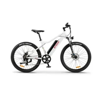 Z-Tech-85, Lítium 36V12Ah 250W 700C ELEKTROMOS KERÉKPÁR, SHIMANO 7S *SWORDFISH* (DKD) CE fehér