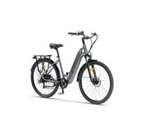 Z-Tech-44, Lítium 36V13.5Ah 28"x1.75 ELEKTROMOS KERÉKPÁR, Nyomatékszenzoros *Lumo* (DKD) CE szürke