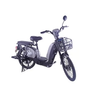 Z-Tech-01(G), Grafén 48V13Ah 480W 22'' 25km/h ELEKTROMOS ROBOGÓ *LASER 15* (DKD) EEC ezüst