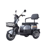 Z-Tech-16A, Ólomsavas 60V20Ah 1200W 3kerekű ELEKTROMOS JÁRMŰ, differenciálműves *E-MOVE* EEC szürke