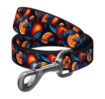 Nylon kutyapóráz, minta ''Narancs'' 122 cm hosszú Waudog