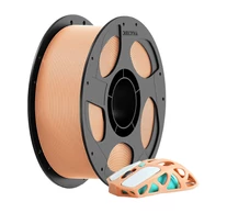 Filament PLA Anycubic 1 KG (Peach Fuzz)
