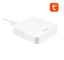 Multiprotocol Gateway Avatto GW02 Zigbee 3.0 & BLE & Sig Mesh