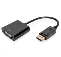 DisplayPort - DVI Adapter / Converter