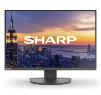 Sharp 60006214 DD-EA242W Black 24" LCD monitor WUXGA (1920x1200) DP HDMI DP-OUT LAN USB-C 150 mm height adjustable