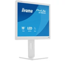 iiyama 19 hüvelykes FEHÉR TN-panel 1280x1024 13cm Magasságállítható Állvány HDMI DisplayPort 250cd/m2