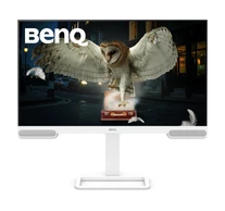 BenQ EW3290U LED display 79.2 cm (31.2") 3840 x 2160 pixels 4K Ultra HD White