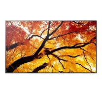 Sharp 60006059 PN-M982 98" M-Series Large Format Display UHD 550cd/m2 D-LED backlight 24/7 proof SDM Slot CM-Slot