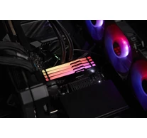Kingston Technology FURY Beast 32GB 6000MT/s DDR5 CL30 DIMM (Kit of 2) RGB EXPO
