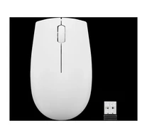 LENOVO 300 Wireless Compact Mouse (Cloud Grey)