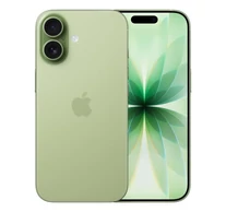 Apple iPhone 17 16 cm (6.3") Dual SIM iOS 26 5G USB Type-C 256 GB Sage