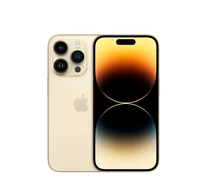 Apple iPhone 14 Pro 15.5 cm (6.1") Dual SIM iOS 16 5G 256 GB Gold