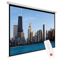 Avtek Video Electric 300P projection screen 4:3