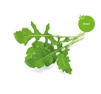 Click & Grow - Rukkola növénykapszula 3 db