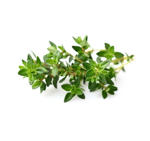 Click & Grow - Kakukkfű növénykapszula 3 db