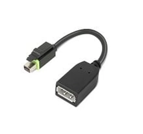 Lenovo 4X90Q93975 video átalakító kábel Mini DisplayPort DisplayPort Fekete