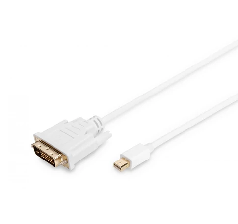 DisplayPort Adapter Cable