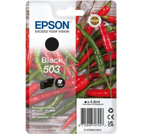 Epson 503 tintapatron 1 db Eredeti Standard teljesítmény Fekete