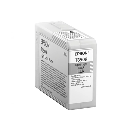 Epson T850900 tintapatron 1 db Eredeti Világos-világosfekete