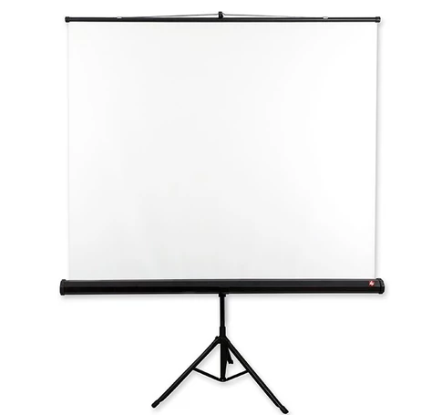 Avtek Tripod Standard 200 projection screen 1:1