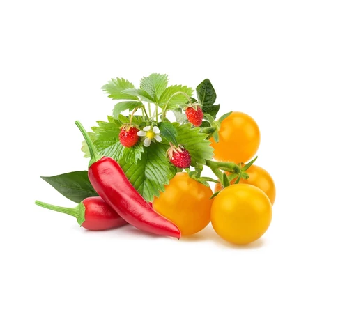 Zöldség-gyümölcs Mix növénykapszula 9 db