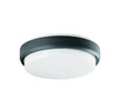 VIOKEF Outdoor Ceiling Lamp Dark Grey Tinos - VIO-4171701