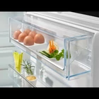 Kép 5/5 - Refrigerator-freezer ELECTROLUX ENC8MD18S