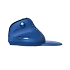 Kép 3/6 - Bezprzewodowa mysz pionowa Delux M618XSD BT+2.4G RGB (niebieska)