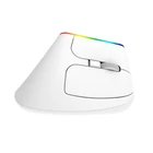 Kép 4/4 - Vezeték nélküli függőleges egér Delux M618C 2.4G 1600DPI RGB (fehér)