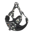 Kép 2/3 - Cat set Dogness harness and leash 1,5m (Daisy Black)