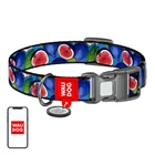 Kép 1/4 - Waudog "Fig" nylon dog collar with QR code, size S