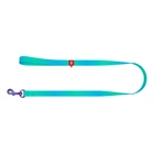 Kép 2/2 - WAUDOG gradient nylon dog leash, 15mm wide, 122cm long, blue