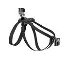 Kép 3/4 - GoPro Fetch (Dog Harness)