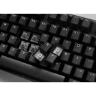 Kép 3/12 - Ducky One 3 Aura TKL keyboard Gaming USB QWERTY US International Black